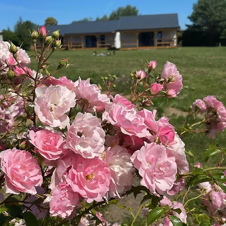 Holiday home Bursztynowy Zakatek Jezierzany